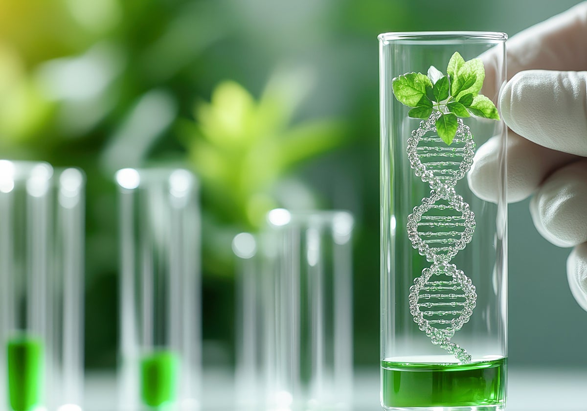 Sectores como biología computacional, ingeniería de proteínas y bioestadística sufren especialmente