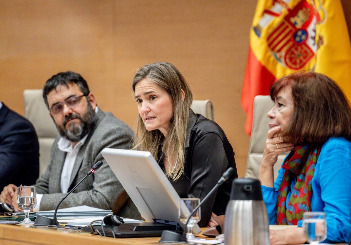 La ministra Aagesen durante su intervención