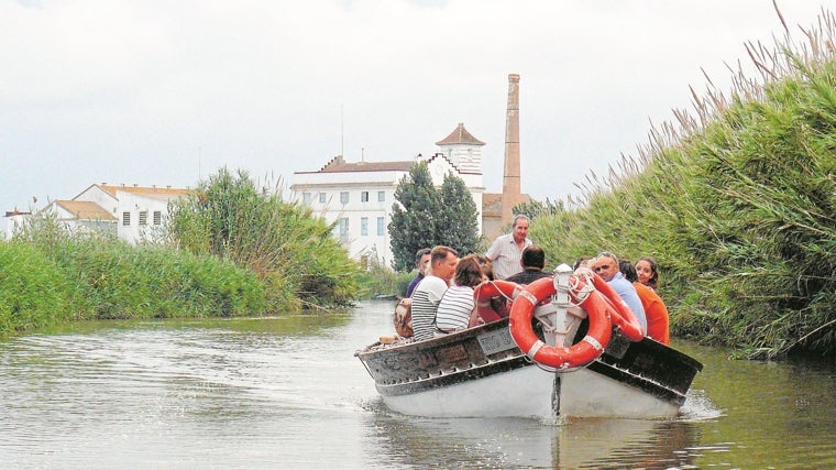 Una de las experiencias más interesantes en la Comunidad Valenciana es la que permite descubrir la cultura del arroz en la zona de la Albufera