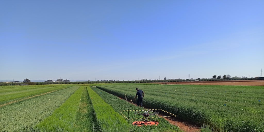 La exportación hortofrutícola española creció en 2024, superando los 12 millones de toneladas y los 17.700 millones de euros