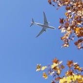 El Gobierno no informa de cuánto debe a las aerolíneas