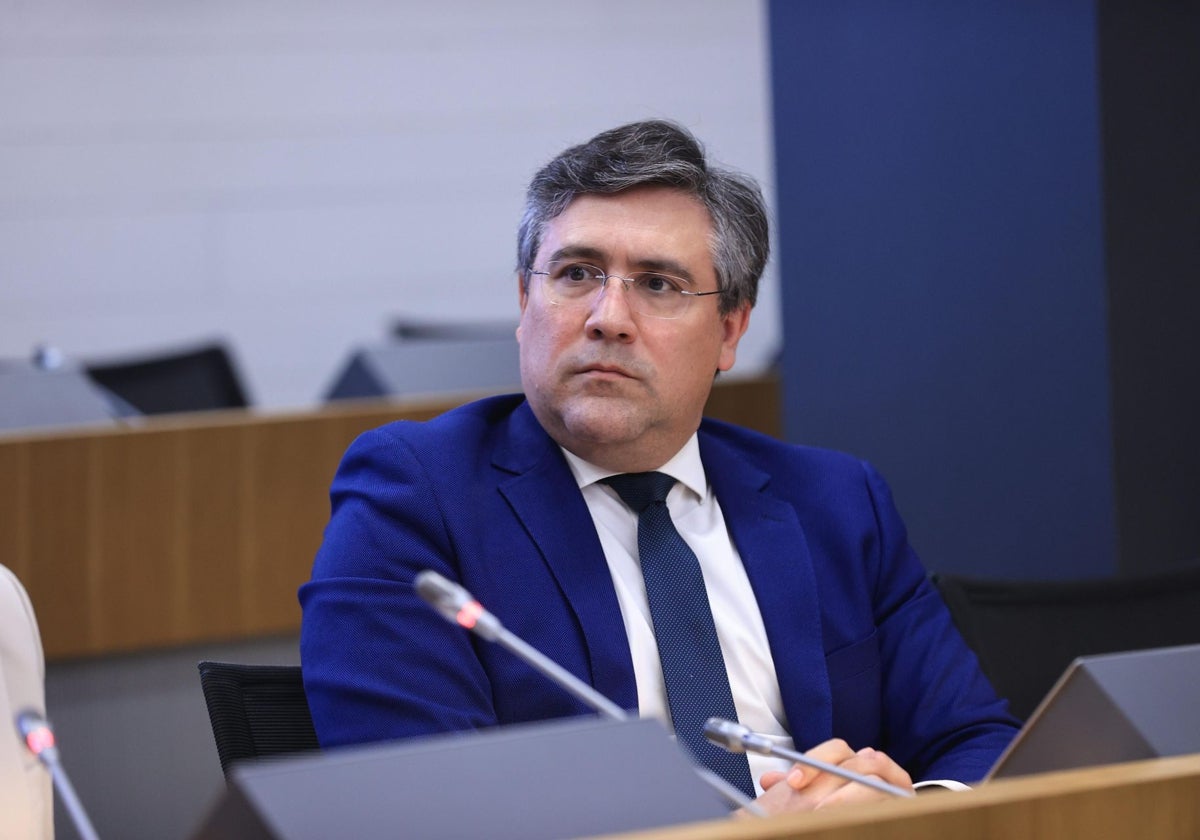 El presidente de la CNC, Pedro Fernández Alén