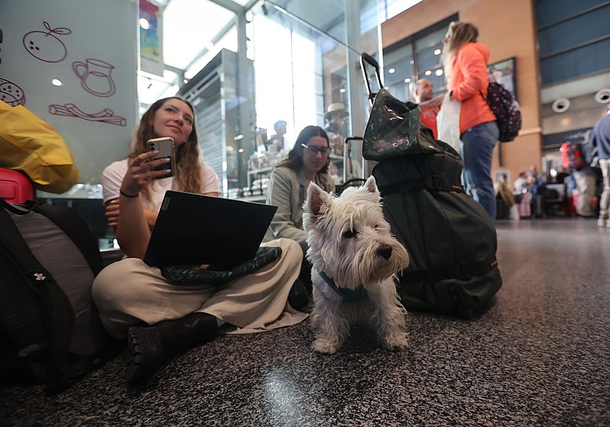 Viajeros esperan a saber cuándo podrán embarcar en su tren tras el caos de este domingo.