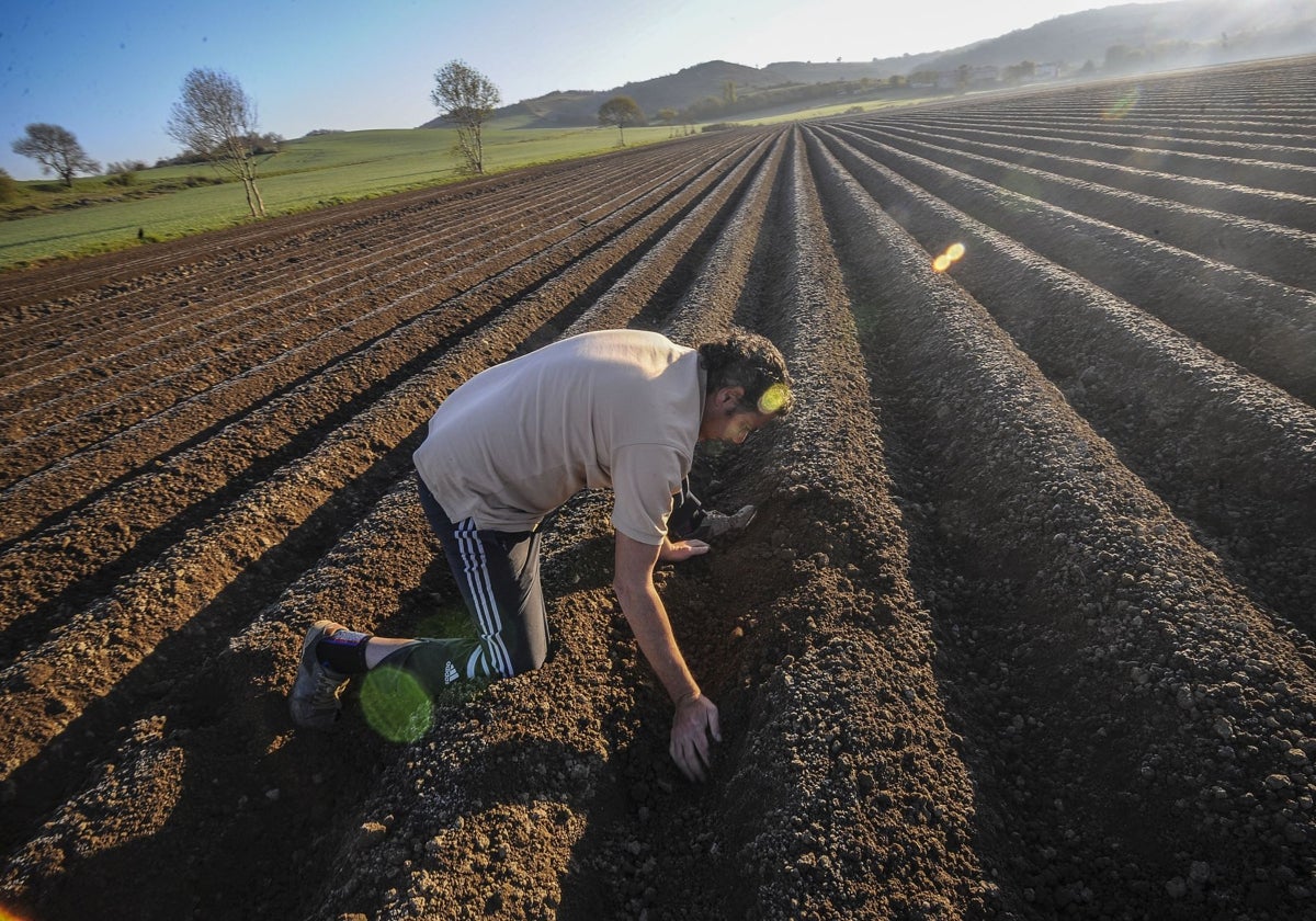 Un agricultor en su terreno de trabajo.