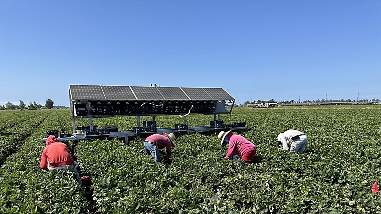 Cosechadora solar de Agrobot