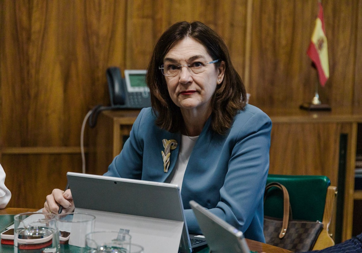 Cani Fernández, presidenta de la CNMC, en una imagen de archivo