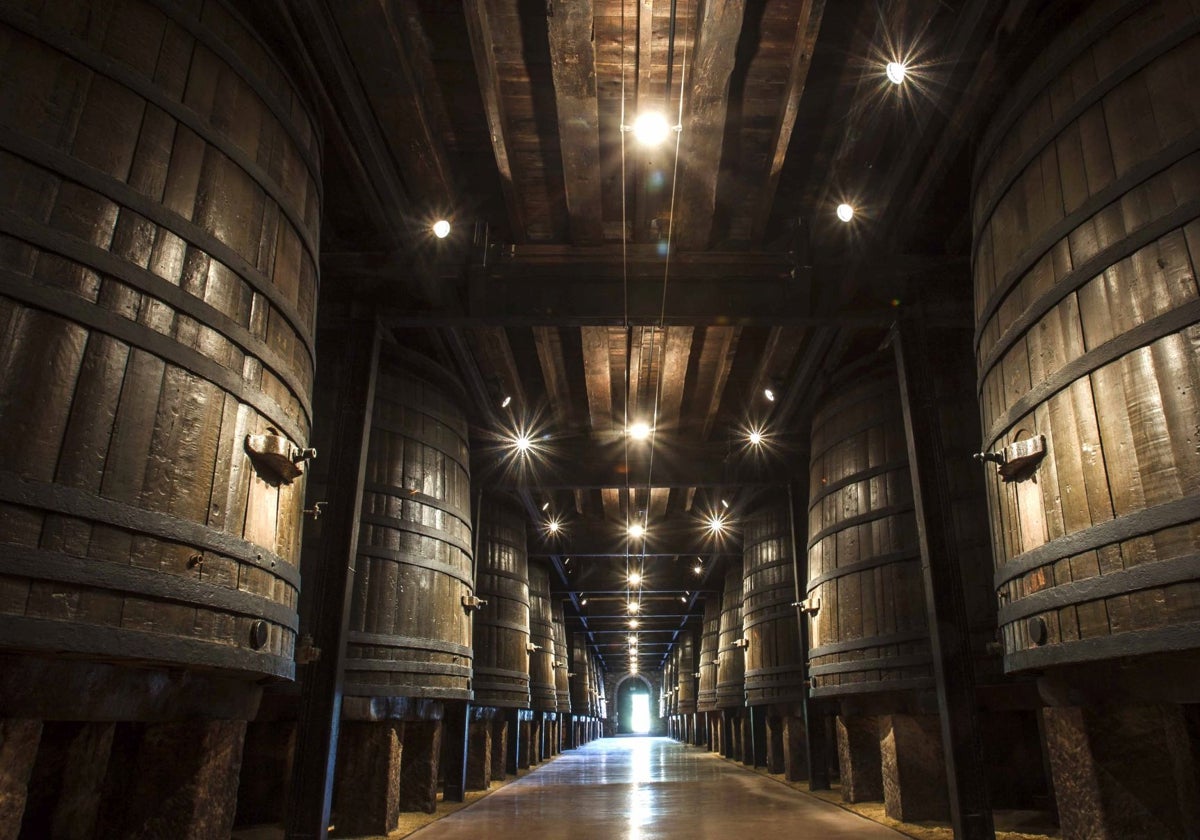 El interior de una bodega de vinos de Rioja