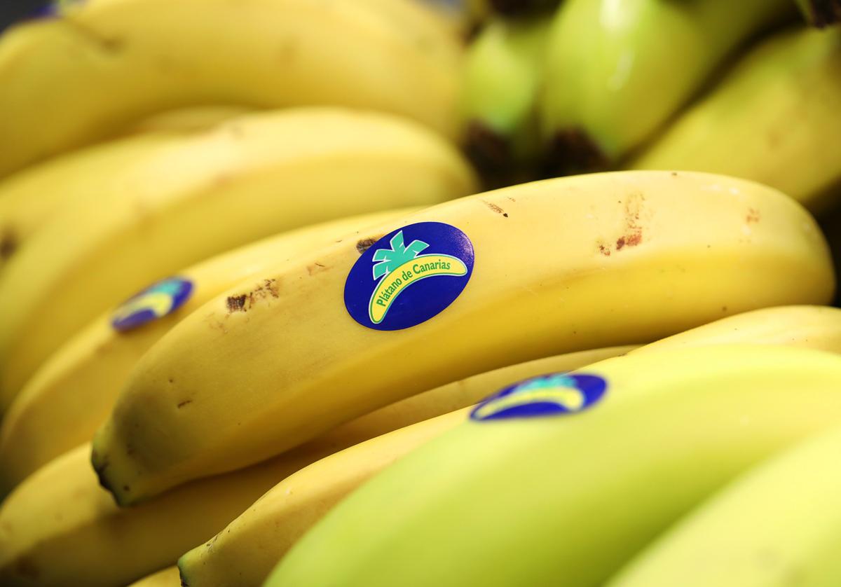El plátano de Canarias iguala el precio de otras frutas nacionales tras una década
