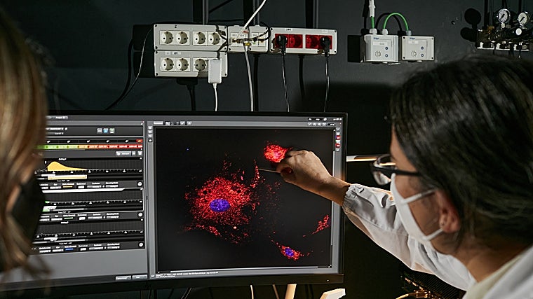 Investigadores del Centro de Regulación Genómica, ubicado en Barcelona, por el que se han interesado unos 15 científicos de EE.UU.