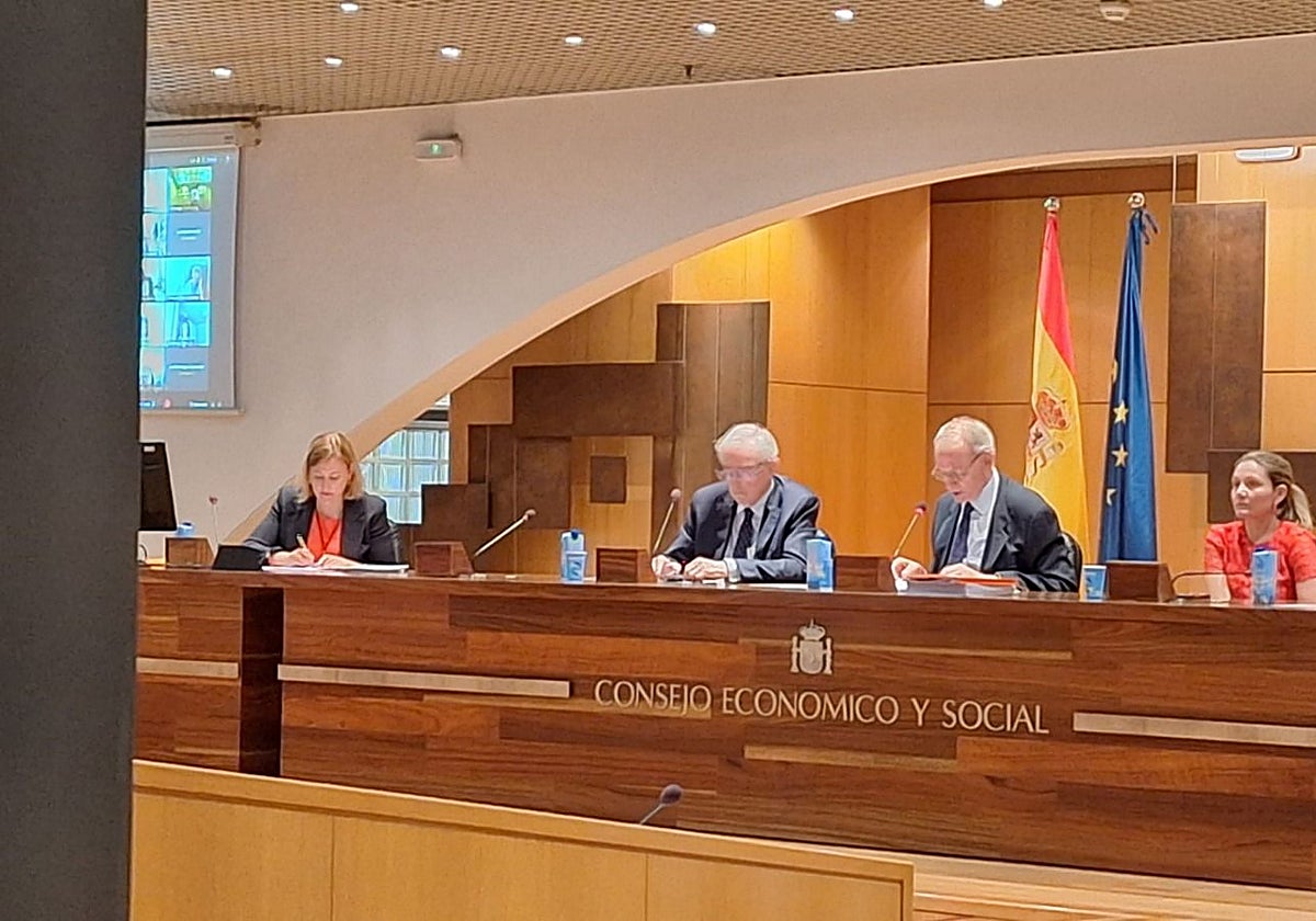 Consejo Económico y Social (CES).