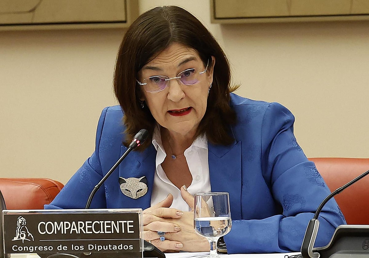 La presidenta de la CNMC, Cani Fernández