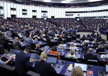 El Parlamento Europeo defiende la gratuidad de la maleta de mano ante la pasividad de la UE