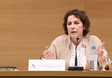La jefa de la Agencia Tributaria alerta de una campaña contra España