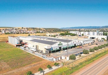 Energía para la innovación y sostenibilidad en el sector agroalimentario