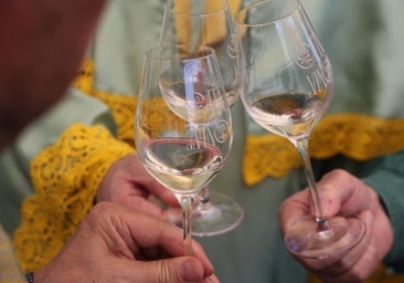 Aceite, vino, coches y acero: los sectores más afectados por la amenaza de Trump
