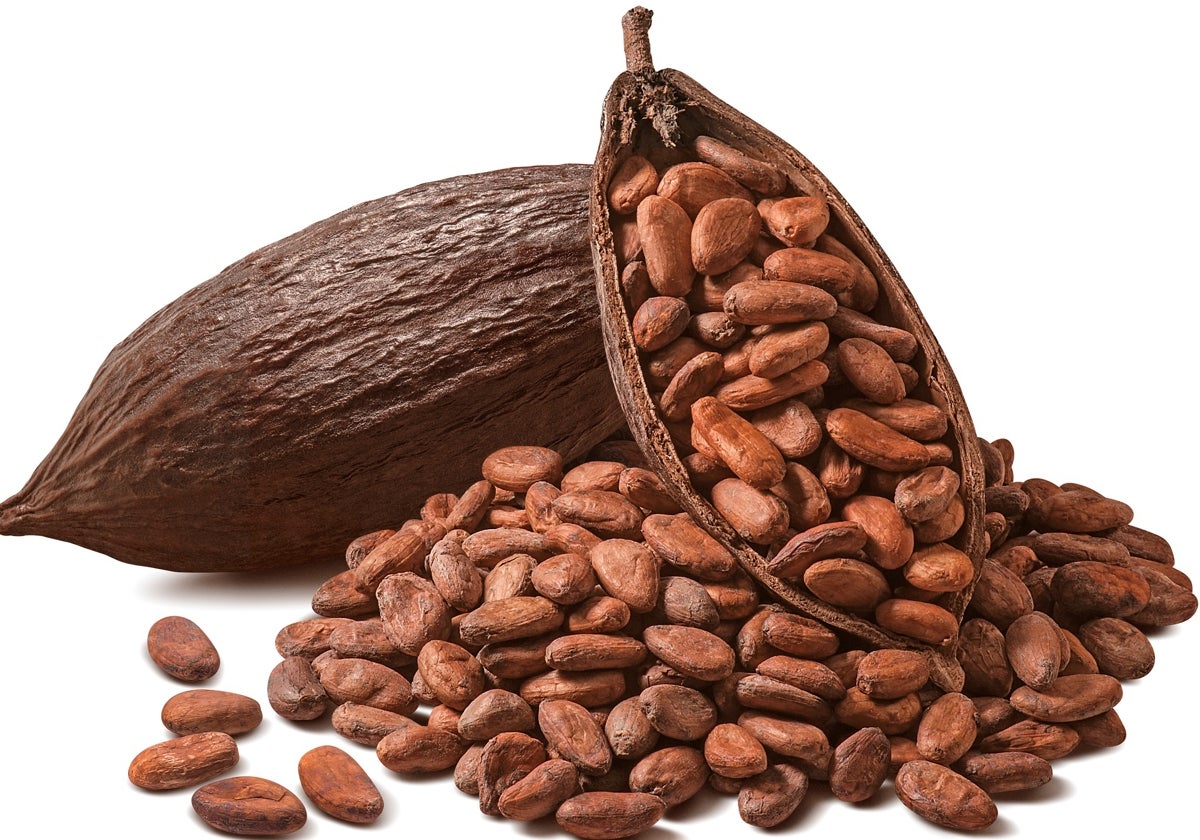 La producción de cacao cayó un 14% entre 2023 y 2024