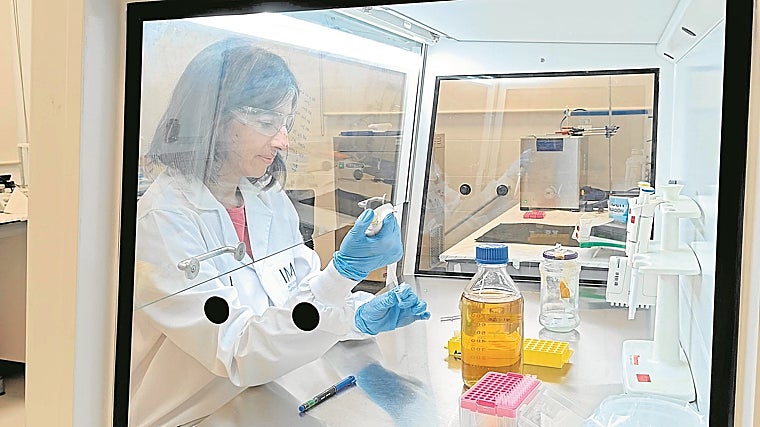 En la imagen, Lucía Gutiérrez, científico titular en el Instituto de Nanociencia y Nanomateriales de Aragón (INMA), que centra su trabajo en el desarrollo de nanopartículas magnéticas para aplicaciones biomédicas