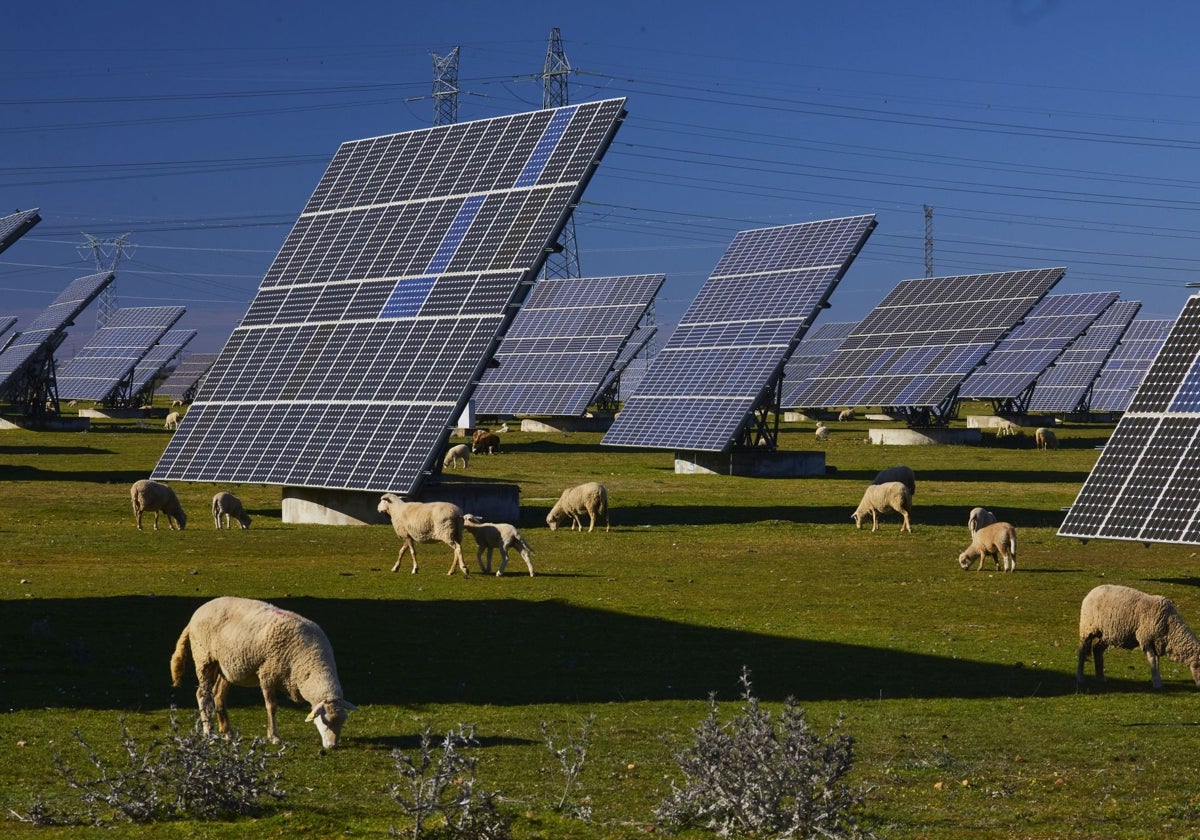 Cuando España supo elegir: por qué el RDL 'antiapagones' consolida nuestro liderazgo energético