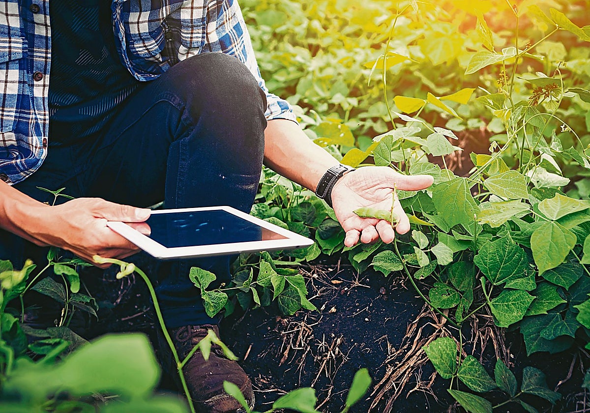 El campo combate el estrés hídrico con una rica cosecha innovadora