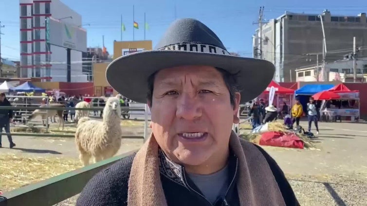 Bolivia exhibe el potencial y los avances de la ganadería en una feria de camélidos