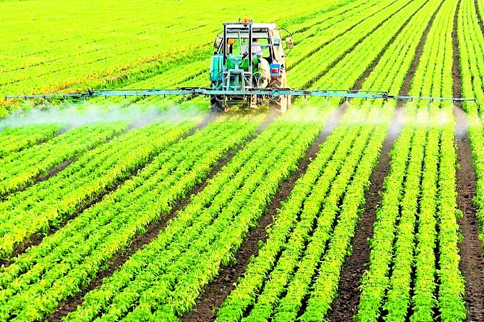 Un agricultor riega un campo de cultivo