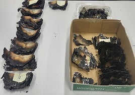 El Banco de España confirma que puedes recuperar los billetes defectuosos y deteriorados a causa de los incendios: «No des tu dinero por perdido»