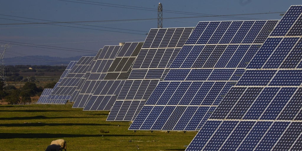 La grieta del desperdicio en el sistema energético se agiganta en el sector renovable