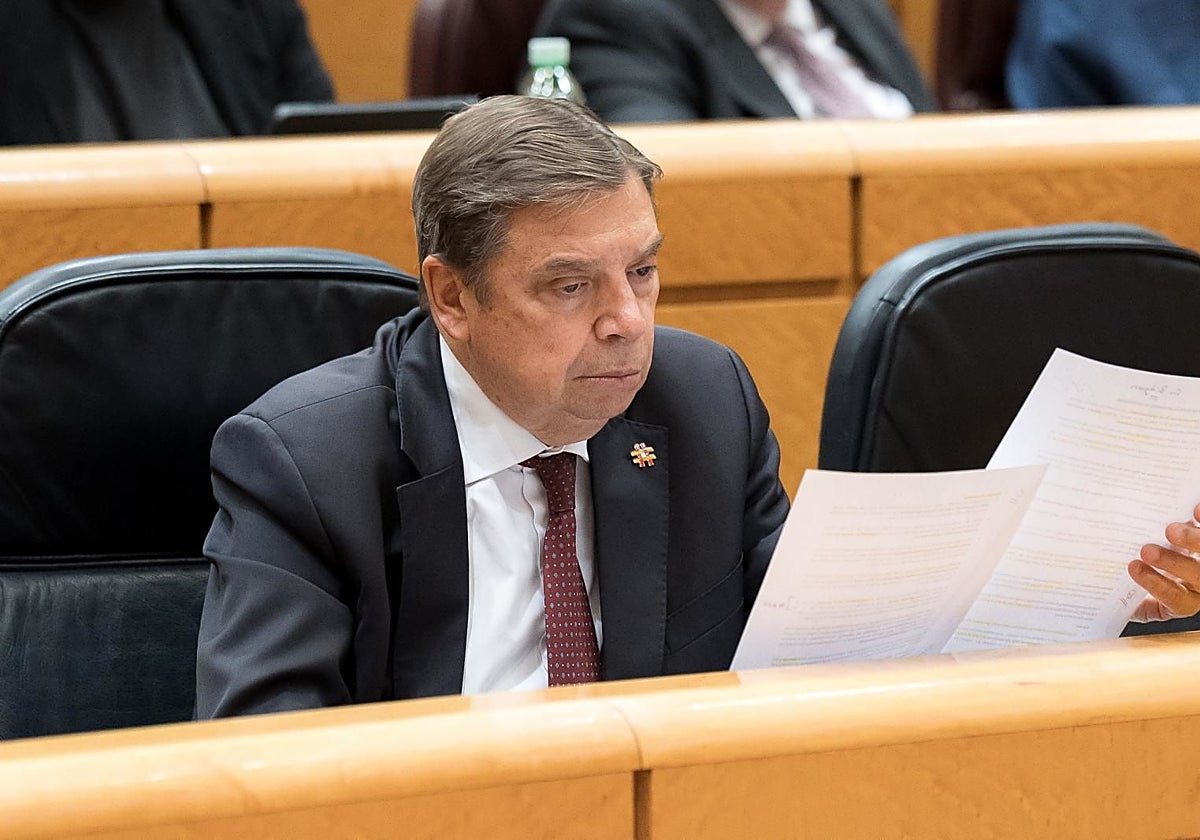 El ministro de Agricultura, Luis Planas