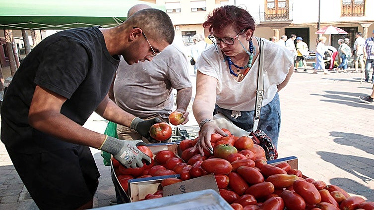 El campo español denuncia que pagará «la cesión de la UE ante Marruecos en el Sáhara»