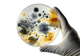 La maquinaria innovadora de la biotecnología se lanza a cambiar la industria de raíz