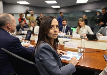 Guerra total entre Red Eléctrica, Gobierno y empresas, seis meses después del apagón