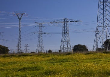 Las eléctricas alertan sobre el pago a las redes: «Pone en riesgo la electrificación»