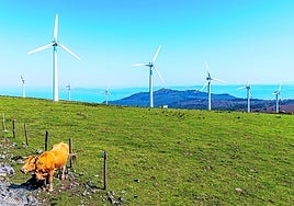 La revolución transversal de la descarbonización se lanza al interruptor de la consolidación