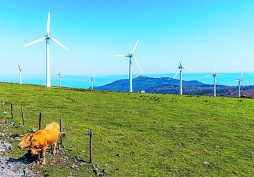 La revolución transversal de la descarbonización se lanza al interruptor de la consolidación