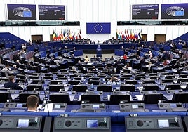 Bruselas reprende a los Estados por no proteger al campo de las importaciones ilegales