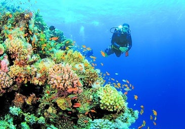 Seyahat endüstrisi için çeşitlendirme adımları