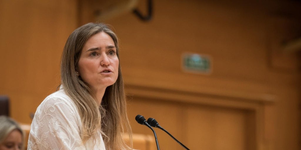 Hükümet elektrik faturasının sabit bir kısmını %10'dan fazla artırmayı teklif ediyor