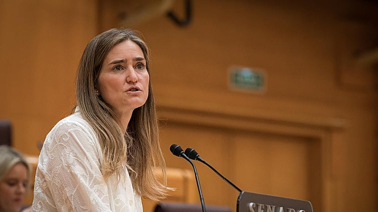 El Gobierno propone subir más de un 10% una parte fija del recibo de la luz