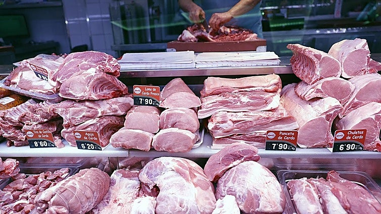 El PP denuncia que los controles frente a enfermedades en los puertos son «insuficientes»