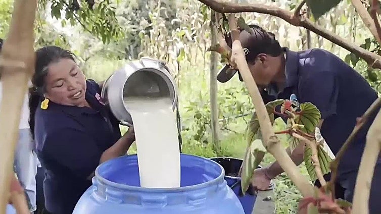 Un proyecto de agroecoturismo empodera a las mujeres rurales del suroeste de Colombia