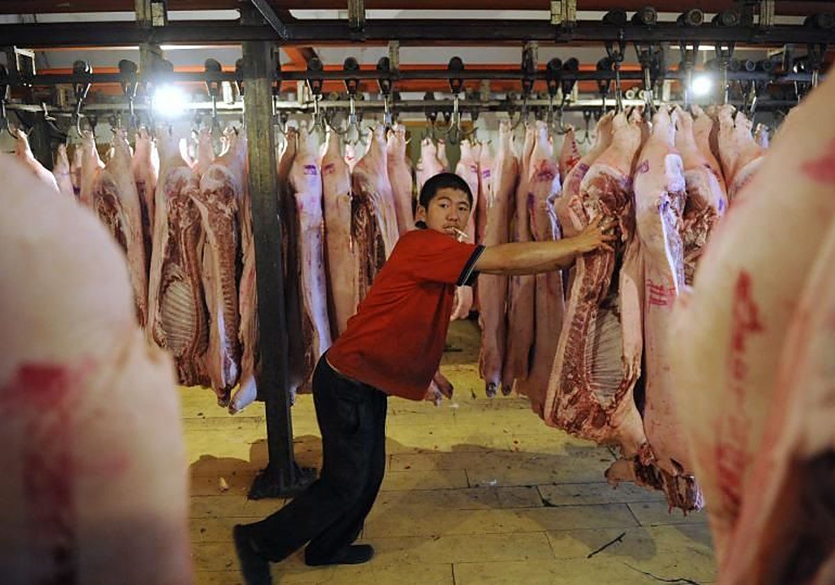 Almacén de cerdo en Taiyuan (China)