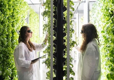 La agricultura urbana echa raíces y consolida los brotes de madurez