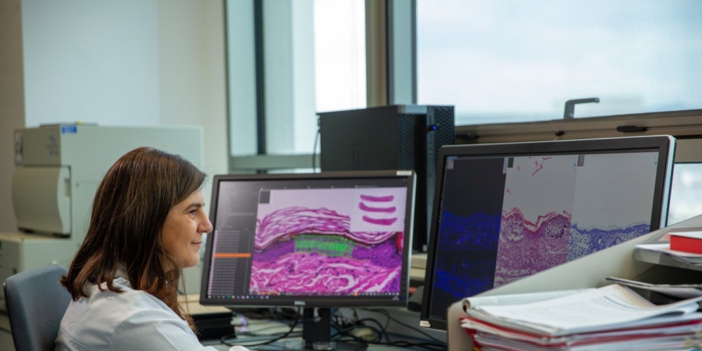 La revolución transversal de la bioinformática comienza a impactar en el mercado