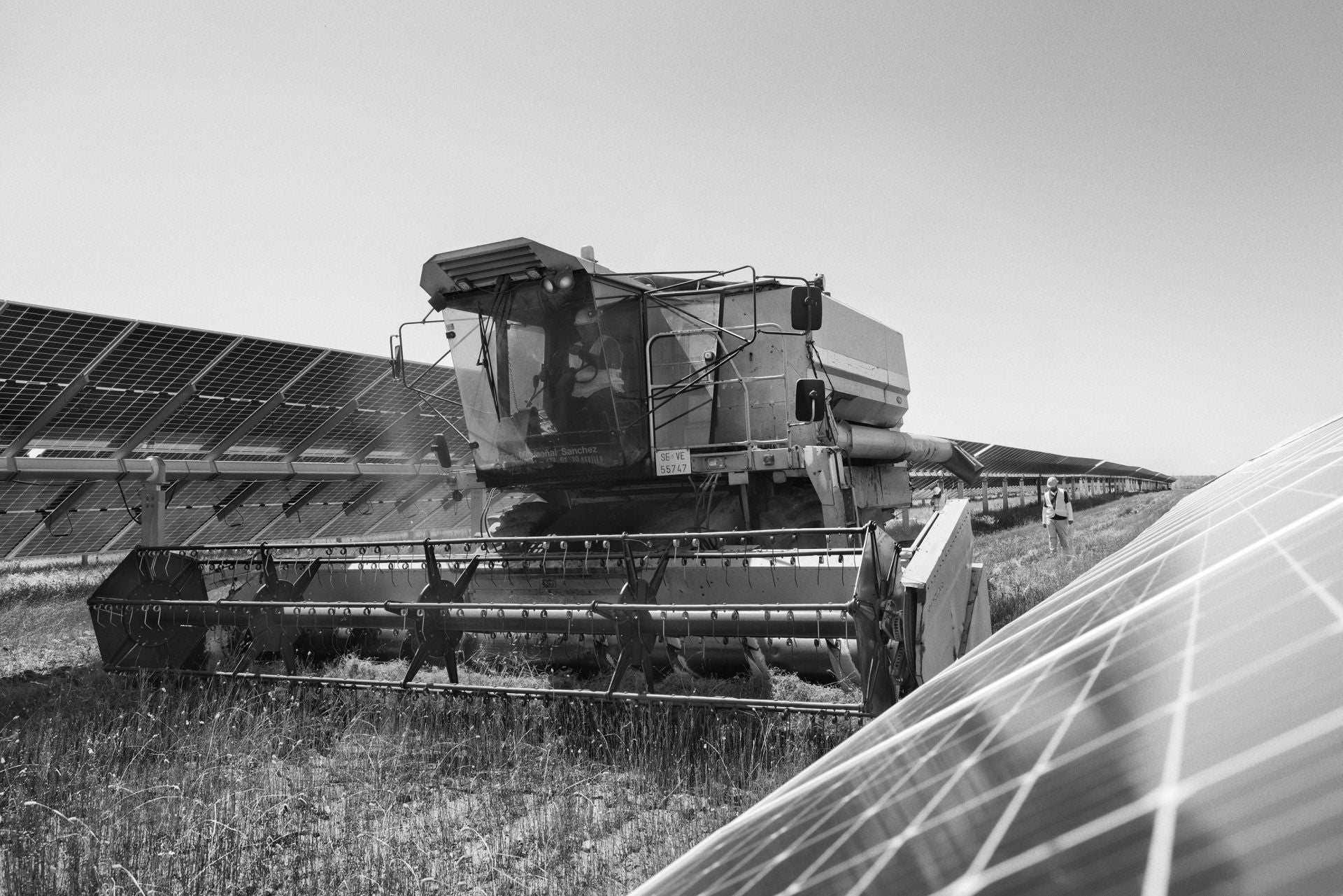 Juan Antonio, agricultor y empresario, cosecha el primer lino solar en la planta solar de Las Corchas, en Sevilla.