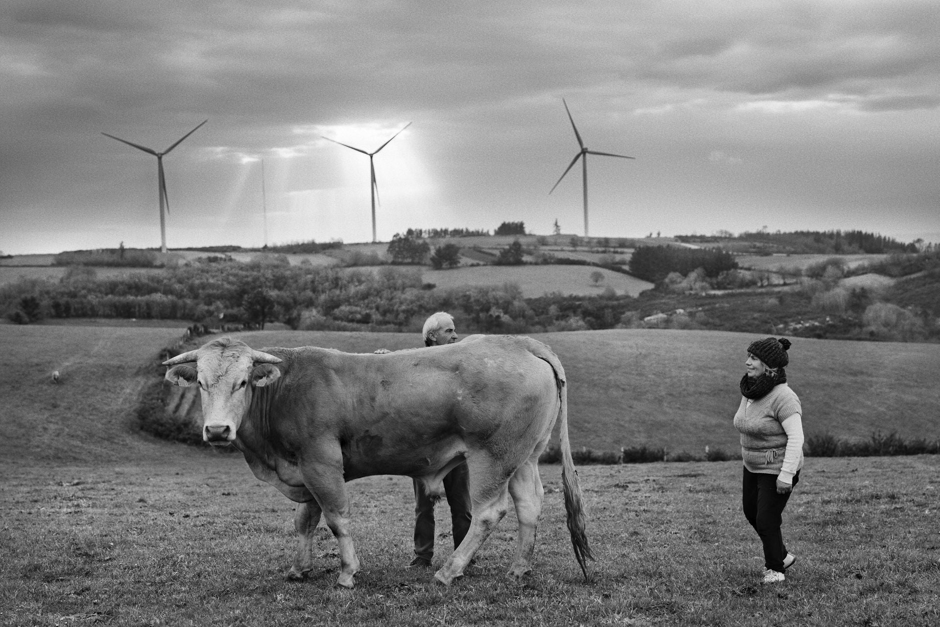 10 de febrero de 2022. Ganaderos junto a su ganado en los prados de Paradela (Galicia), donde se aprecian aerogeneradores al fondo.