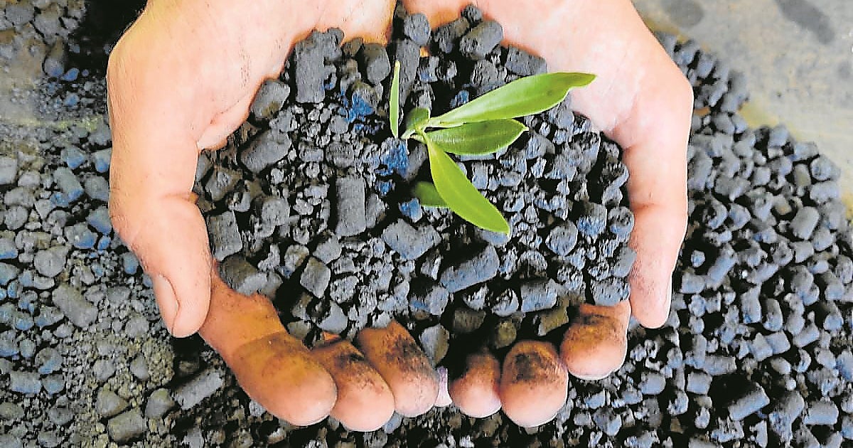 El 'carbón bueno' comienza a materializar su potencial