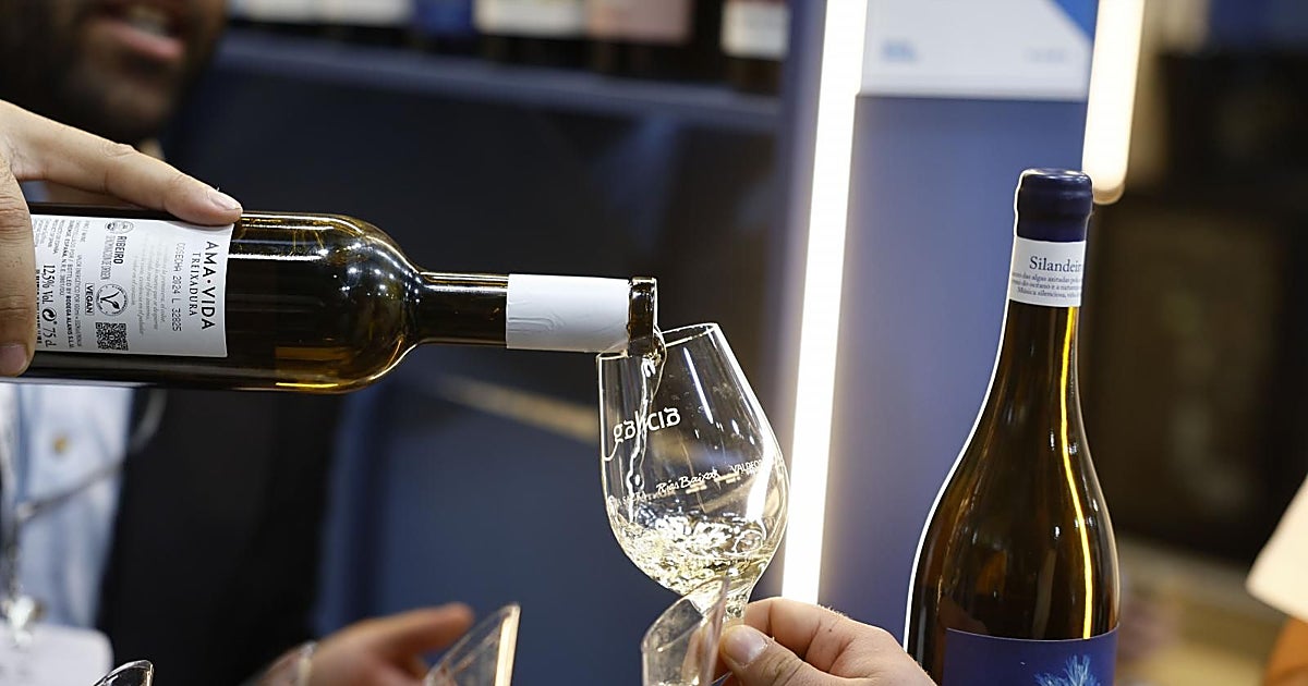 Joven, curioso y fan de Rosalía: el sector del vino se lanza a buscar nuevos consumidores