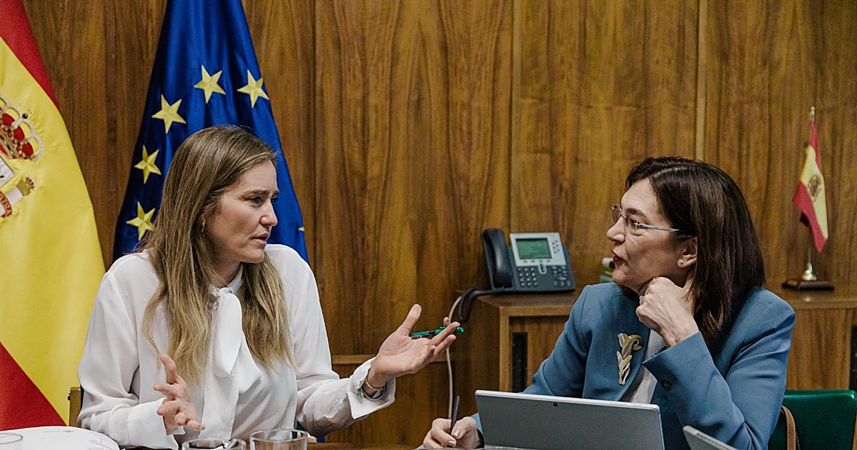 Competencia pretende abrir lo antes posible hasta 96 expedientes sancionadores a las eléctricas por el apagón