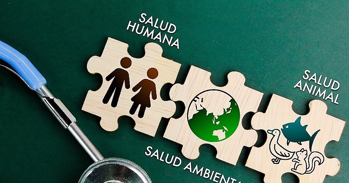 El sector de la salud animal halla su fórmula magistral con una visión innovadora y conectada