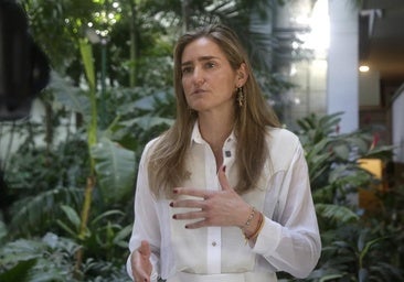 “İspanya'nın temyizi prosedürü askıya almalı”